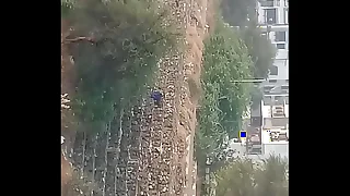 Indian Majuran turn start